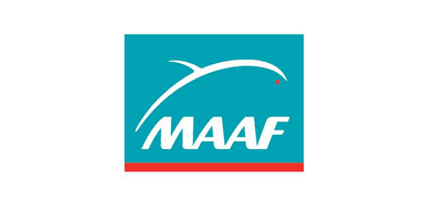 Logo maaf