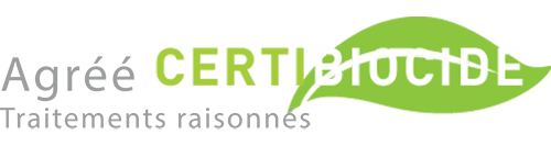 Une équipe de spécialistes